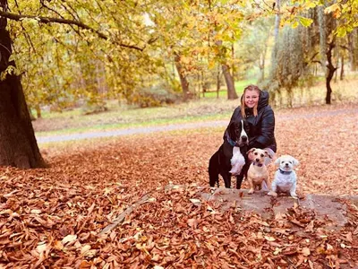 PsiakoveLove Salon Pielęgnacji Zwierząt